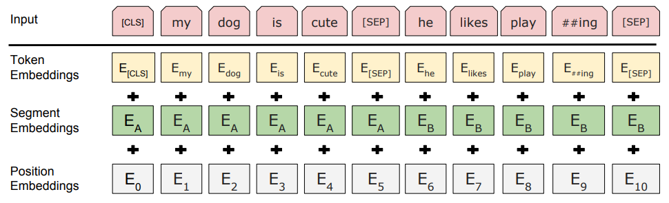 IMG_input_emb